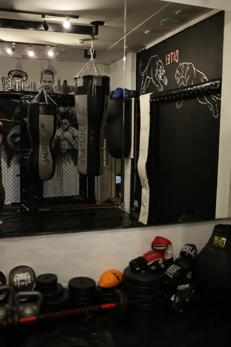 Зал BITE MMA: клітка, груші, мурал